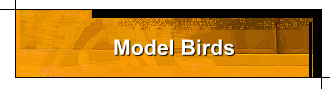 Model Birds